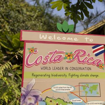 Signage for our Eco Lodge Exhibit in our Rainforest Biome